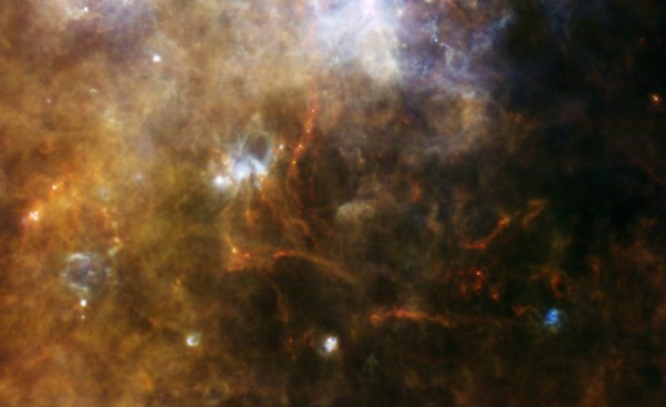 “An incredible network of filamentary structures” seen in a cloud of cold gas in the constellation of the Southern Cross.